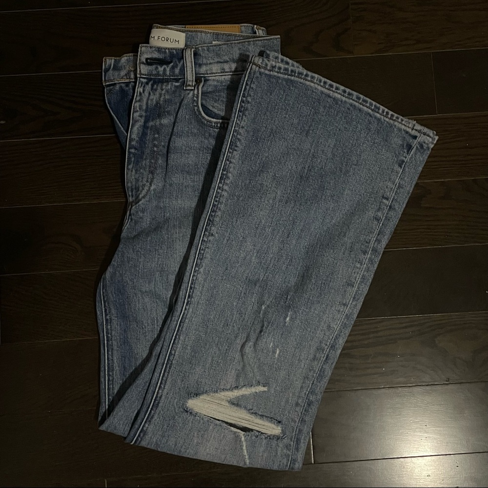 ARITZIA DENIM FORUM THE TWIGGY HIGH RISE FLARE